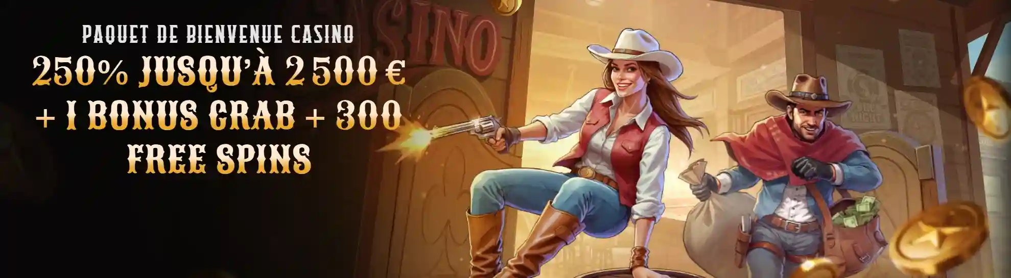 Wildsino Casino Banner